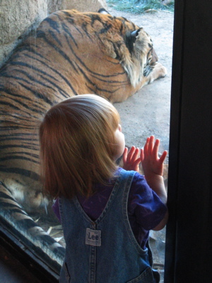 Erika looking at a tiger