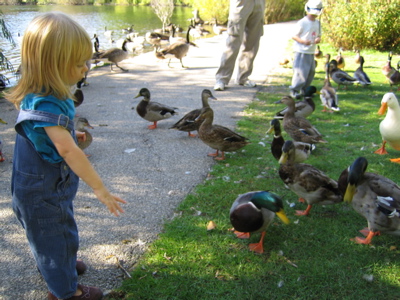 Erika feeding ducks